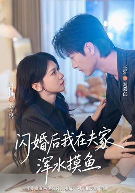 闪婚后我在夫家浑水摸鱼